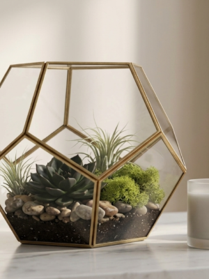 Modern Brass Geometric Glass Terrarium